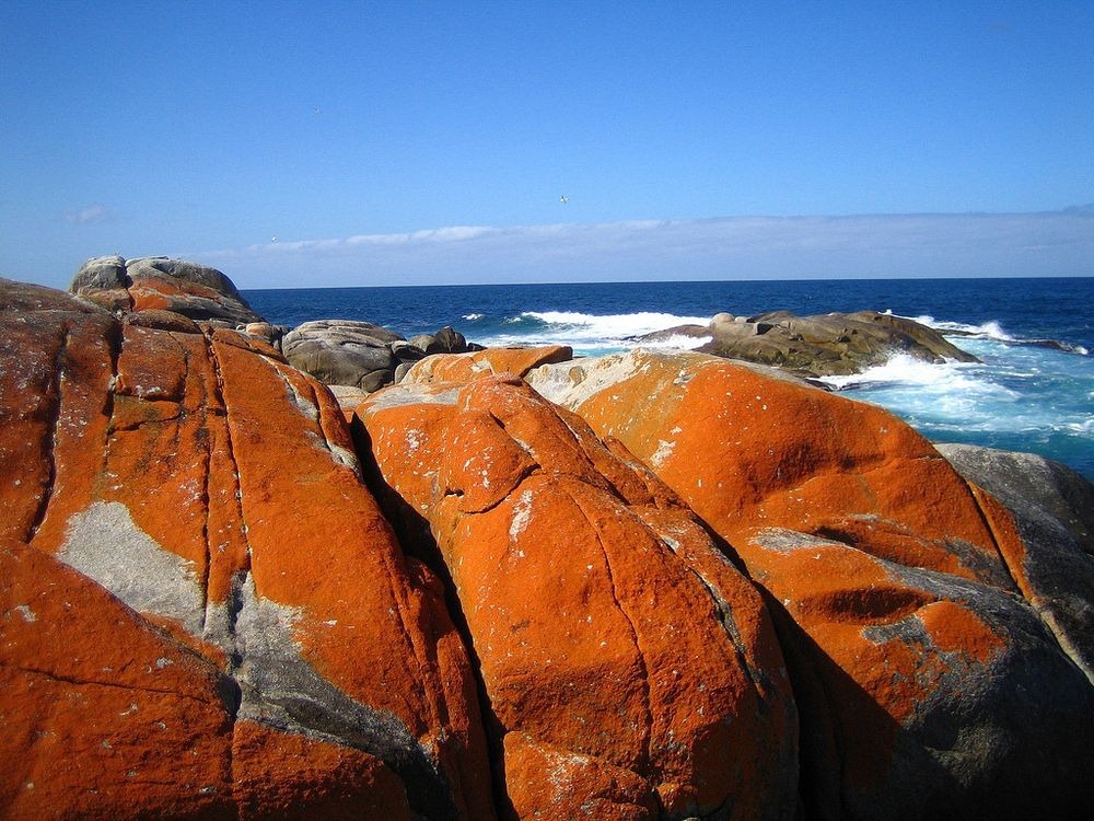 The Gardens · Bay of Fires