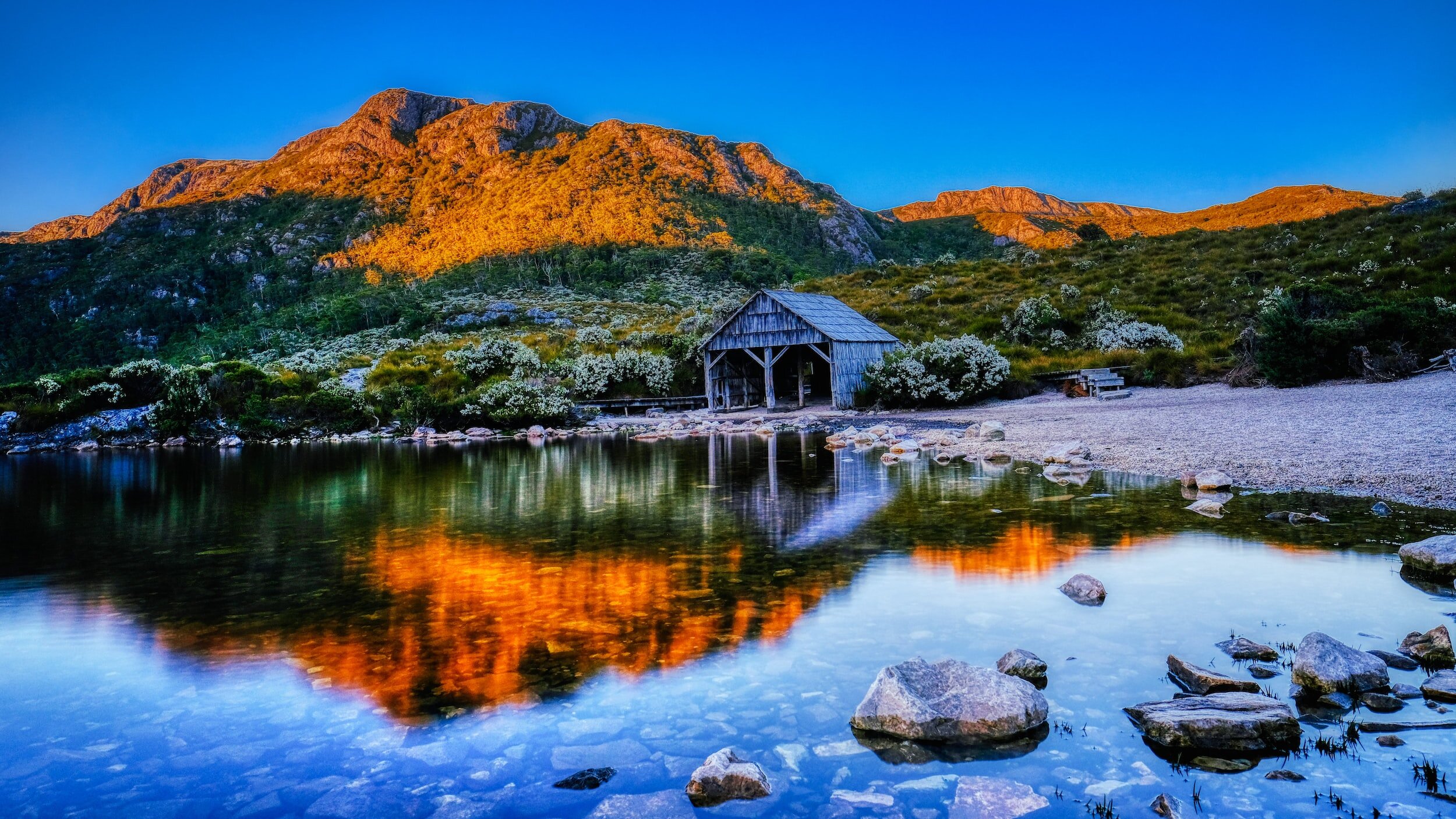 Enchanted Walk 森林步道