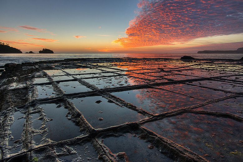Tessellated Pavement 棋盘石海岸
